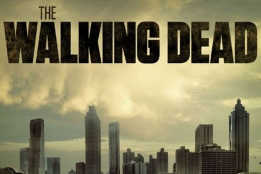 Season seven of The Walking Dead concluded April 2, setting the state for an intense season eight.