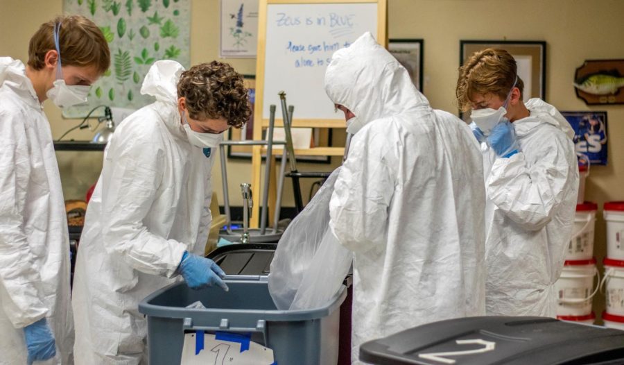 (from left to right) Seniors Alex Polt, Gabriel Myers, Andrew Nieters, and Joshua Adams look through waste during an AP Biology class period.