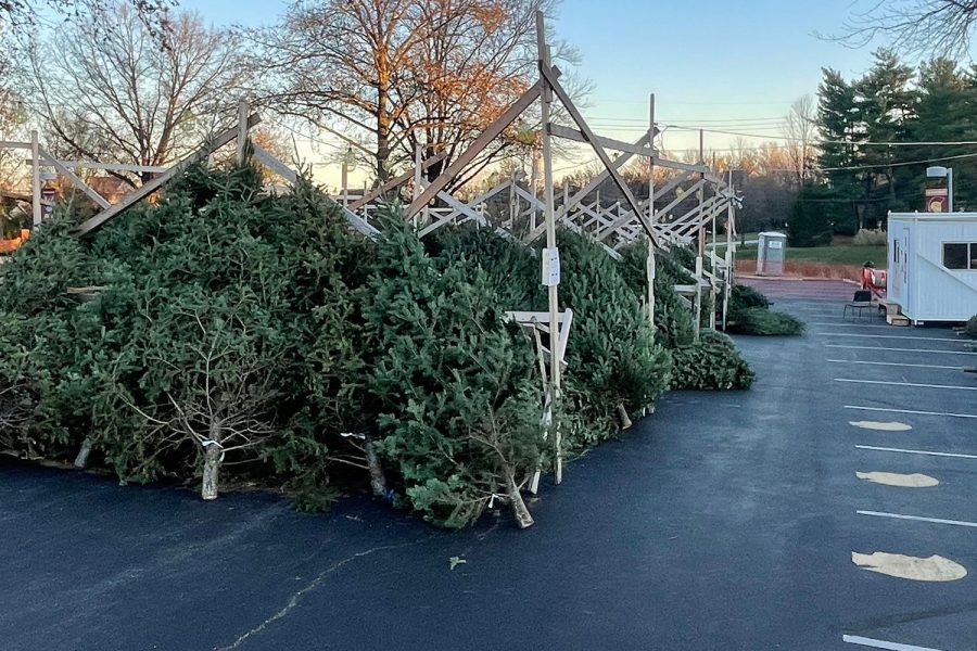 Alumni Christmas Tree lot returns to campus. 