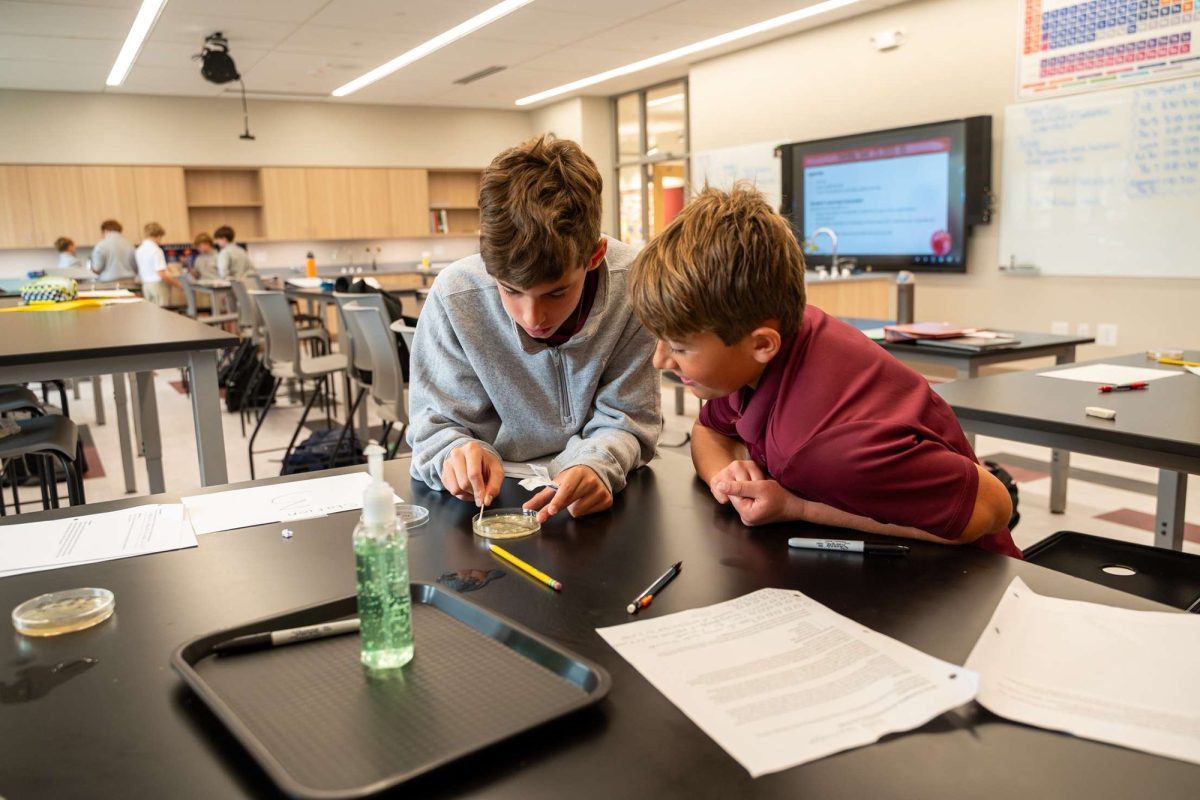 Middle school students working hands on in a science lab. 